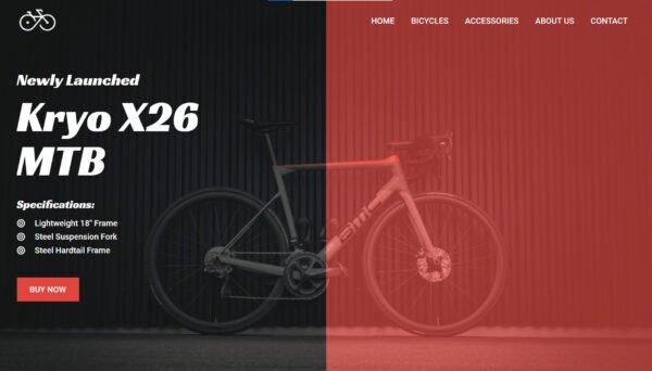 $200 Website + Website Management - Image 4